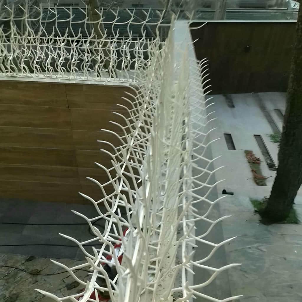 کارخانه حفاظ شاخ گوزنی کاربری مسکونی در قم