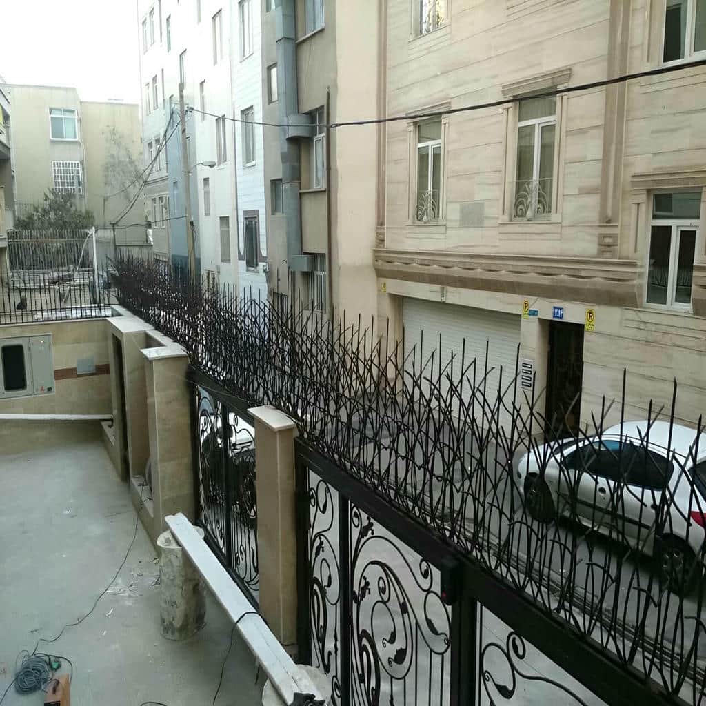 معرفی حفاظ شاخ گوزنی در ایلام