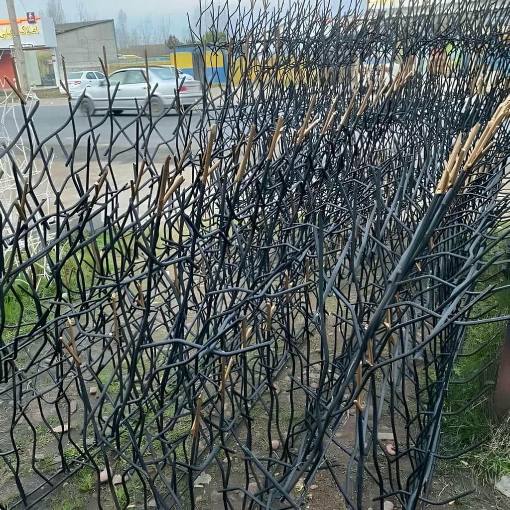 ارزیابی حفاظ شاخ گوزنی در استان خوزستان