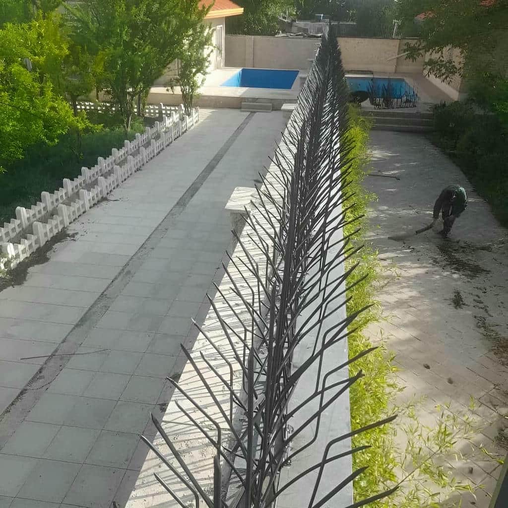 قیمت حفاظ شاخ گوزنی نصب اصولی در هشتگرد قیمت حفاظ شاخ گوزنی نصب اصولی در هشتگرد