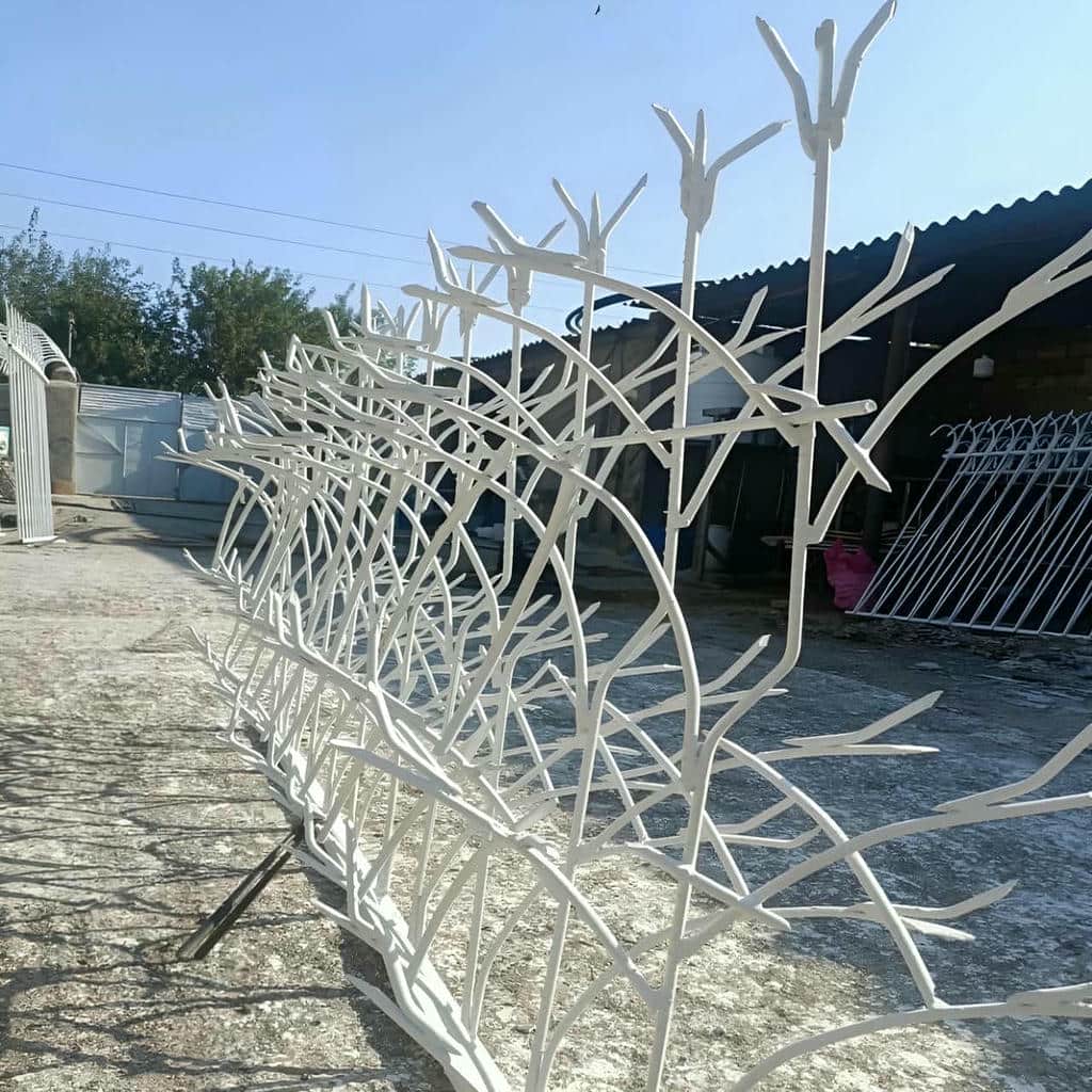 معرفی حفاظ شاخ گوزنی در یزد