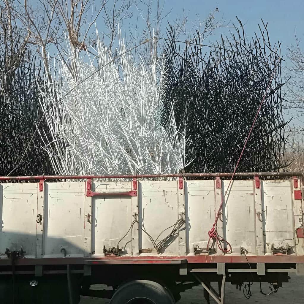 مقایسه حفاظ شاخ گوزنی در استان گیلان
