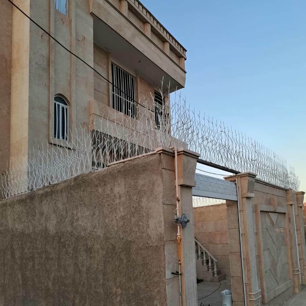 ارزیابی حفاظ شاخ گوزنی در محمودآباد