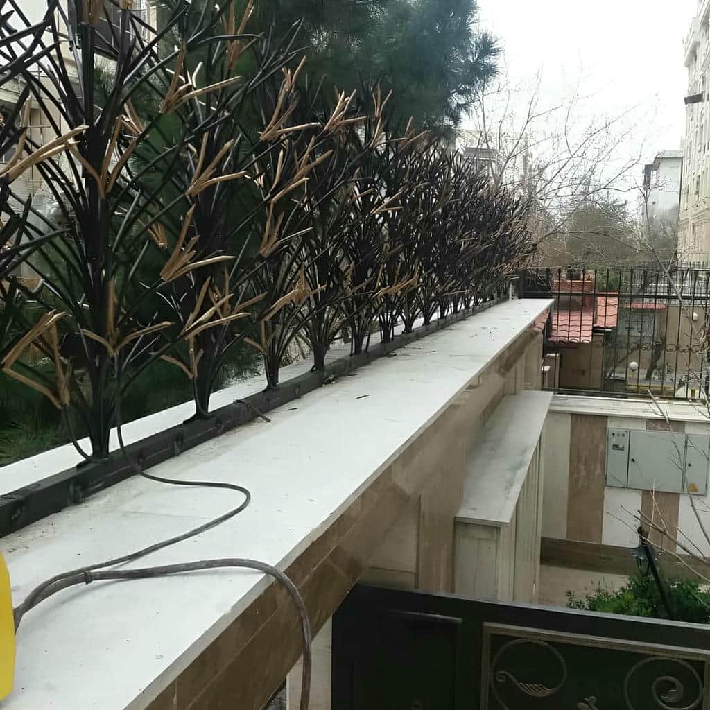 توضیحات حفاظ شاخ گوزنی در نوشهر