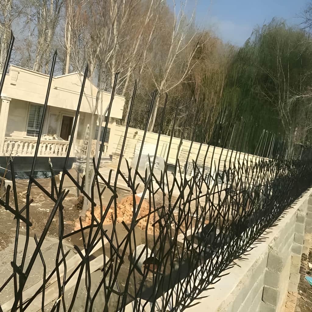 حفاظ شاخ گوزنی خاردار با نصب اصولی روی دیوار