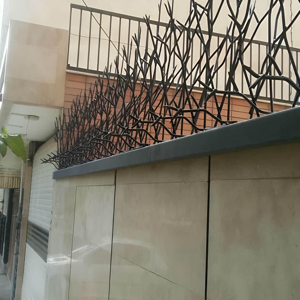 حفاظ شاخ گوزنی با رنگ آمیزی مقاوم فضای باز