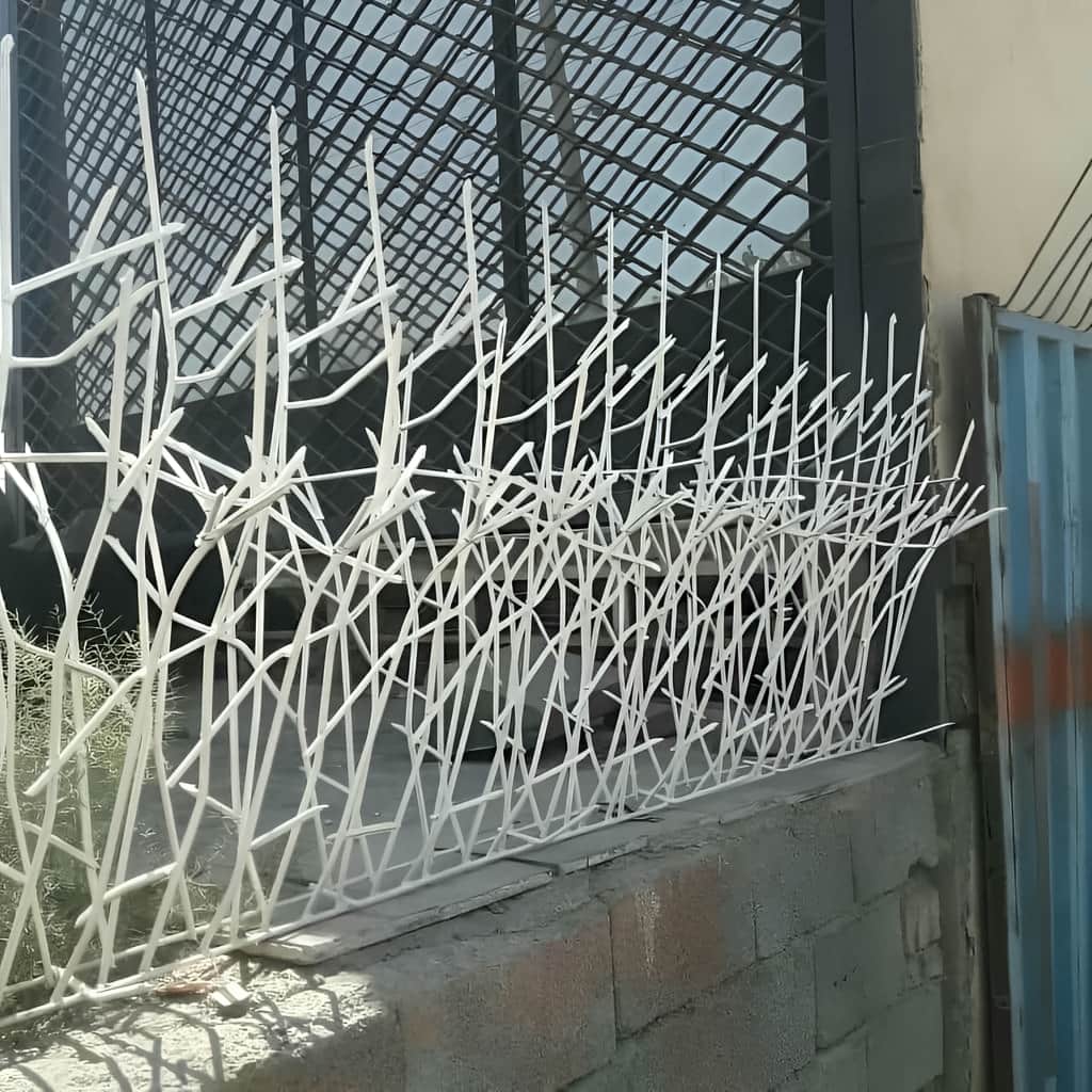 حفاظ روی دیوار با شاخه های تیز بازدارنده