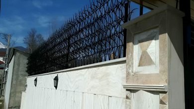حفاظ شاخ گوزنی خاردار برای ایمن سازی دیوار ساختمان