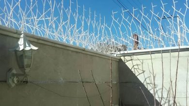خرید حفاظ شاخ گوزنی برای امنیت دیوار ساختمان و جلوگیری از ورود غیرمجاز