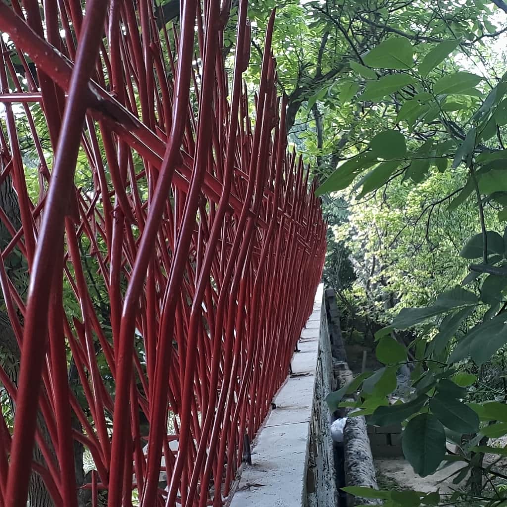 سفارش حفاظ بوته ای پرتراکم با میلگرد مقاوم