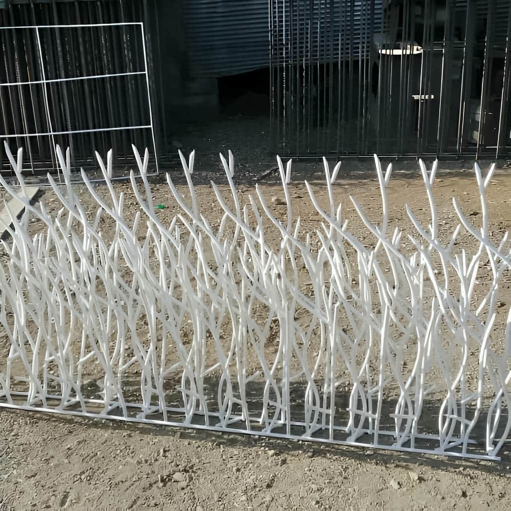 حفاظ روی دیوار باغ محوطه با مقایسه مدل شاخ گوزنی و بوته‌ای
