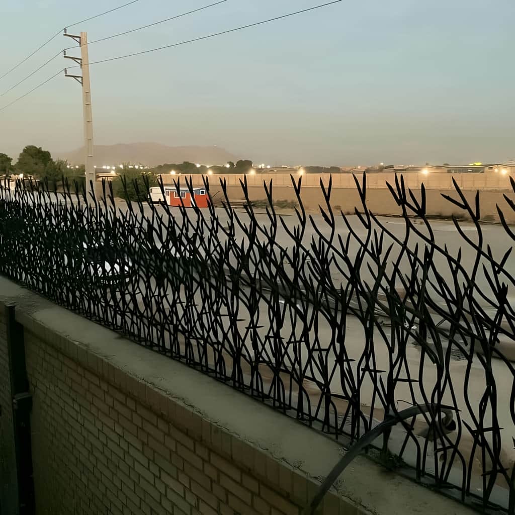 حفاظ روی دیوار حیاط مسکونی با مقایسه شاخ گوزنی و بوتهای