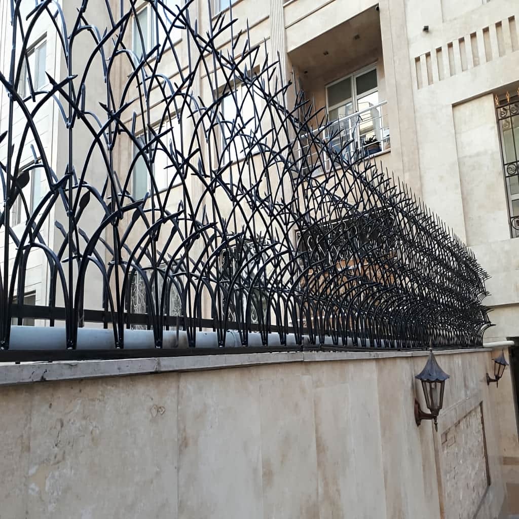 بهترین حفاظ روی دیوار