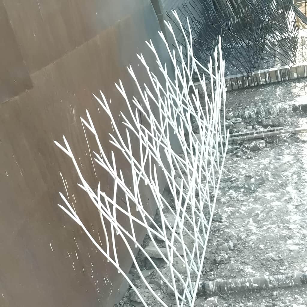 برآورد قیمت حفاظ شاخ گوزنی