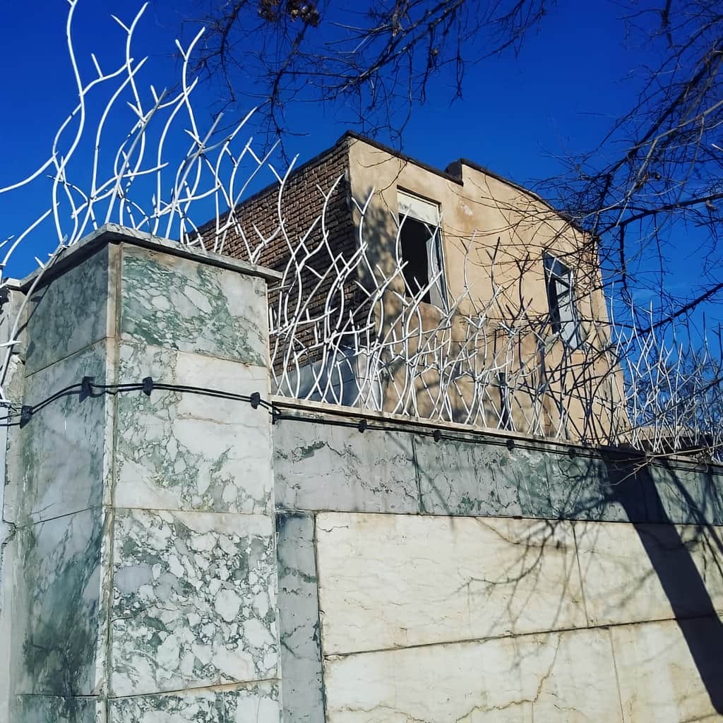 رنگ حفاظ شاخ گوزنی با رنگ کرم کوره ای