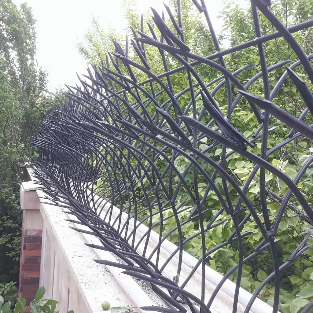 حفاظ غنچه ای در نمونه اجرای دیوار ساختمان حفاظ غنچه ای در نمونه اجرای دیوار ساختمان