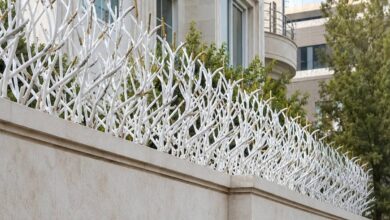 اطلاعات فروش محافظ شاخ گوزنی روی دیوار حیاط