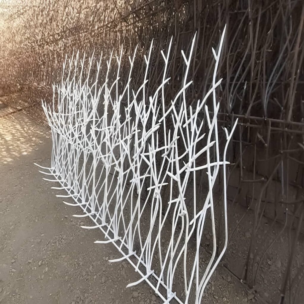 محافظ شاخ گوزنی روی دیوار
