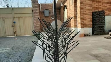 محافظ شاخ گوزنی نمای دیواری محوطه