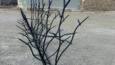 حفاظ آهنی شاخ گوزنی