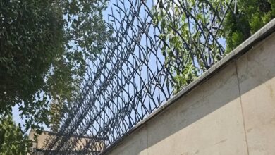 نکات کلیدی در انتخاب محافظ شاخ گوزنی