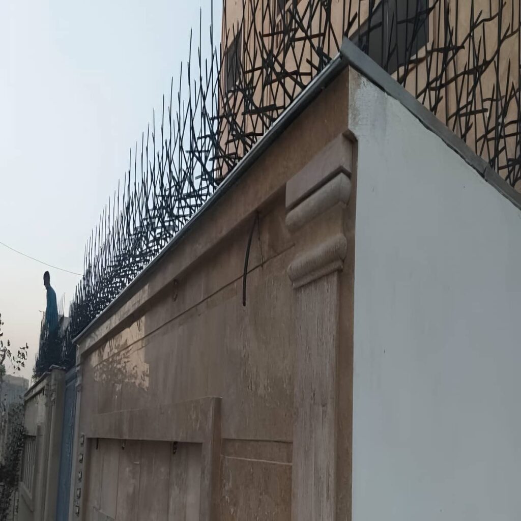 امنیت محافظ شاخ گوزنی