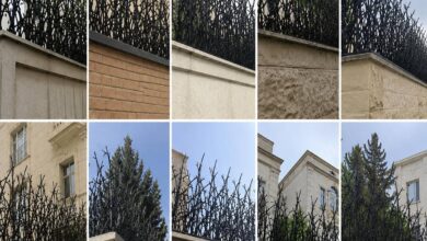 فروش حفاظ دیواری شاخ گوزنی با رنگ مشکی طلایی