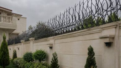 گارد شاخ گوزنی دیواری
