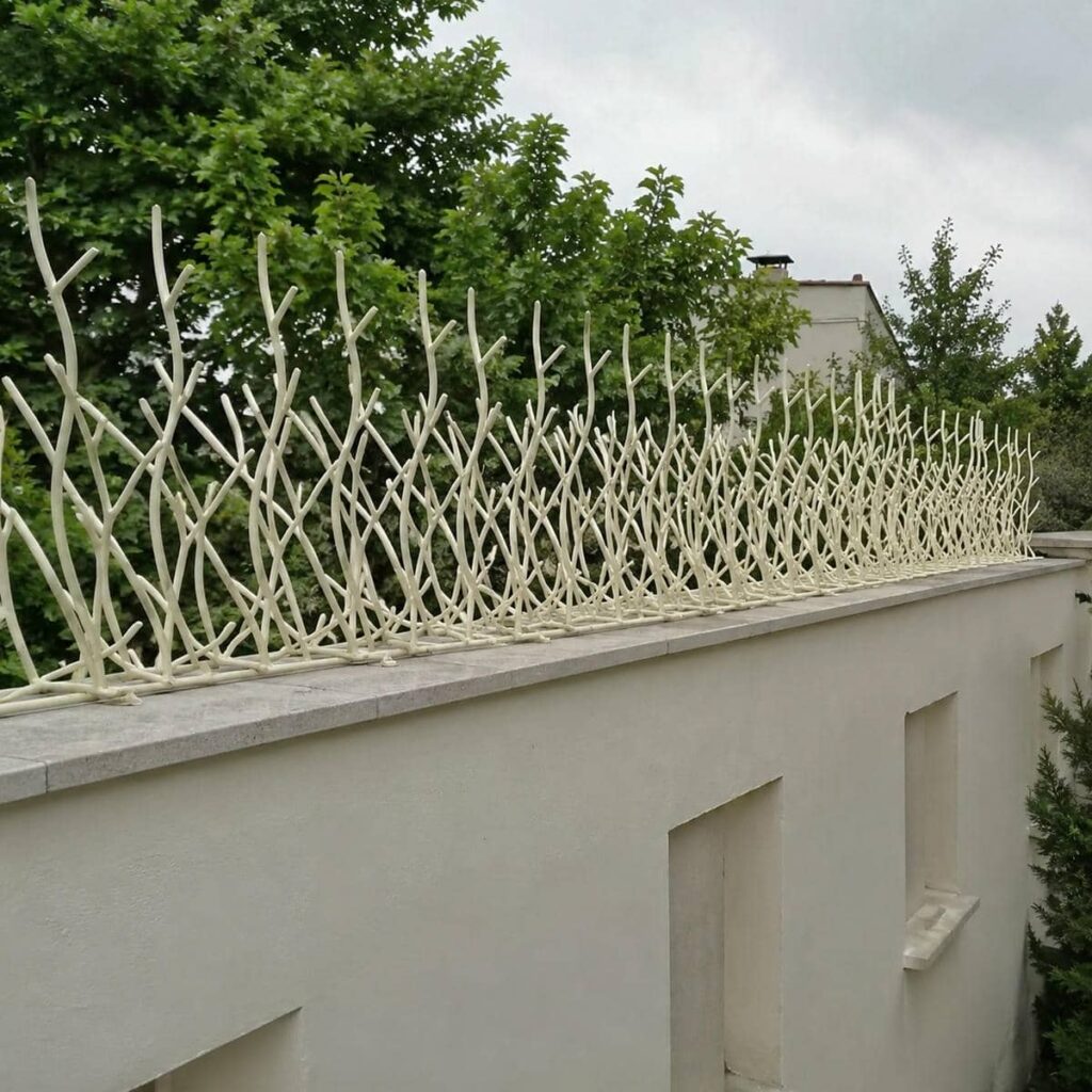 قیمت محافظ شاخ گوزنی بالای دیوار