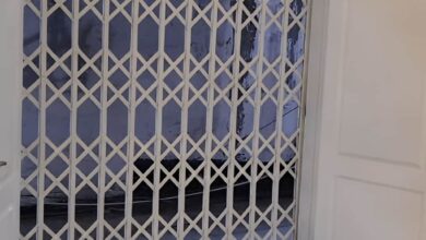حفاظ ریلی آکاردئونی درب منزل