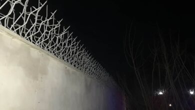 تراکم نرده آهنی شاخ گوزنی