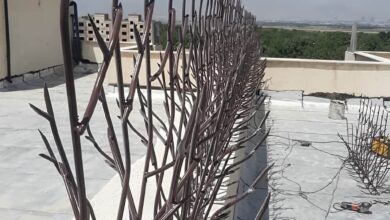 حفاظ دیوار ایرانی در نمونه انتخاب پیش از سفارش