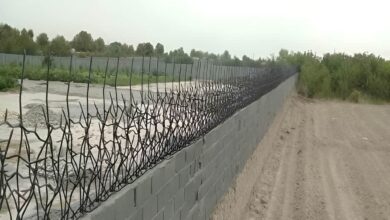 حفاظ شاخ گوزنی با فرم متراکم روی دیوار ویلا