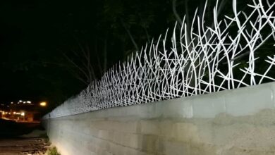 برآورد قیمت محافظ شاخ گوزنی