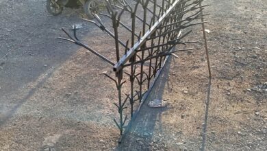 بهبود امنیت با نرده کشی دور حیاط