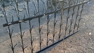 طرح حفاظ شاخگوزنی دیوار حیاط