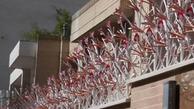 حفاظ غنچه ای فلزی مناسب مناطق گرم و خشک