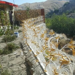 بهترین حفاظ نمای روی دیوار