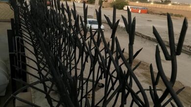 قیمت حفاظ دیوار حیاط