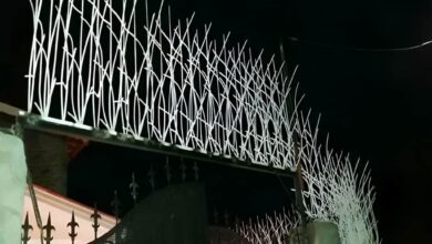 حفاظ غیر قابل عبور دیوار حیاط
