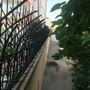 حفاظ کشی روی دیوار