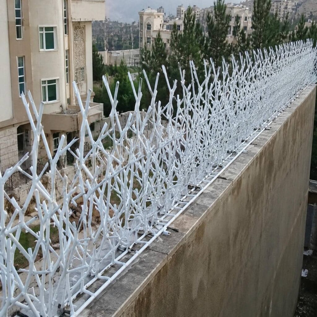 حفاظ شاخ گوزنی روی دیوار