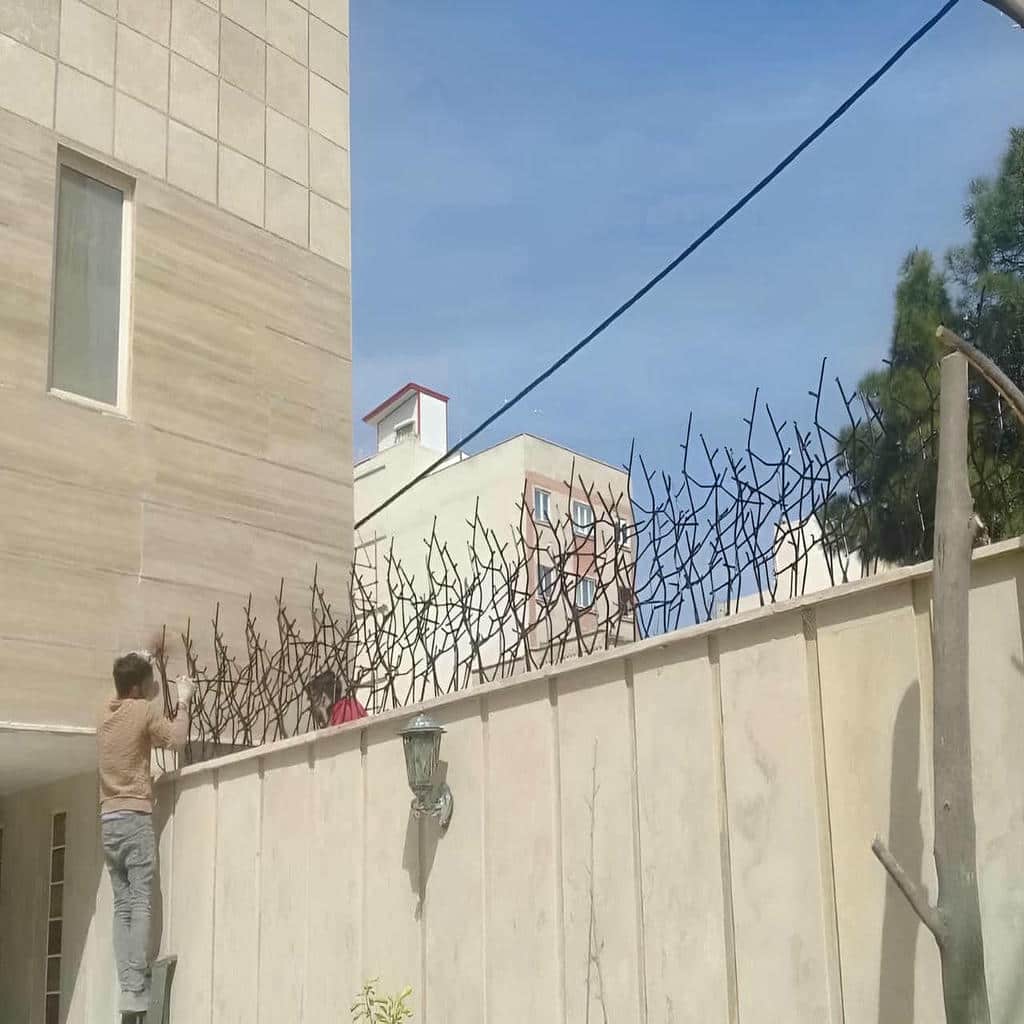 حفاظ شاخ گوزنی مشکی برای دیوار ساختمان